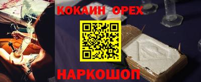 шишки Кандалакша
