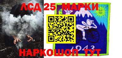 шишки Кандалакша