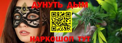 шишки Кандалакша