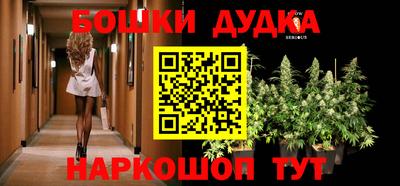 PSILOCYBIN Камышлов