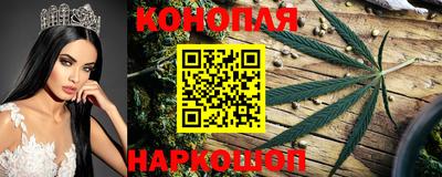 шишки Кандалакша